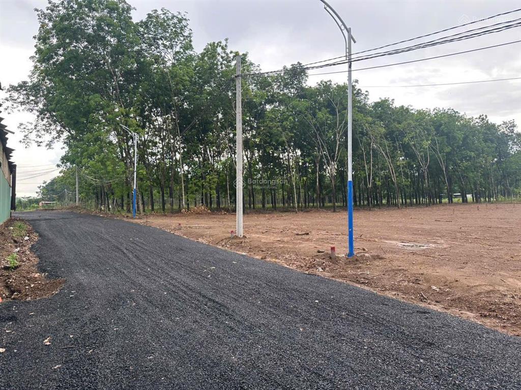 Bán đất minh lập giấy tờ pháp lý minh bạch ngang 5,03m dài 243,5m, giá 529tr