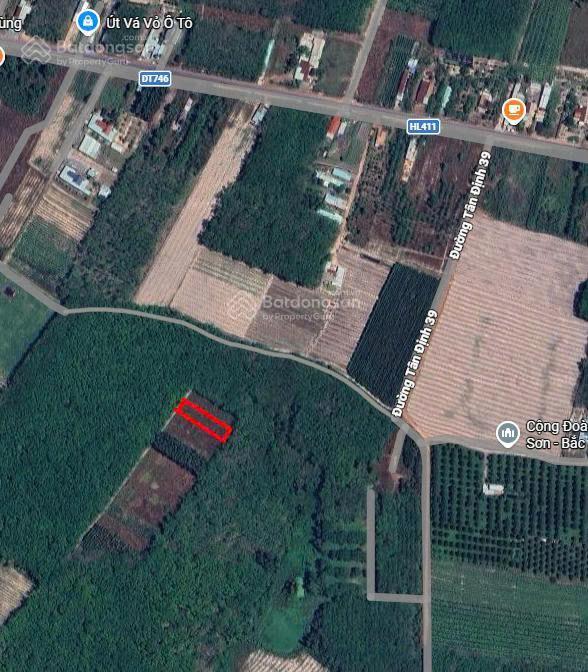 Cần bán đất trồng cây lâu năm tại đường tân định 39, diện tích 1080 m2, giá 1.2 tỷ