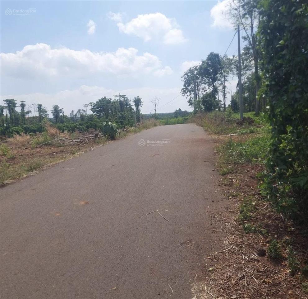 Bán 5400m2 bình giã chỉ chưa đến 13tr/m2