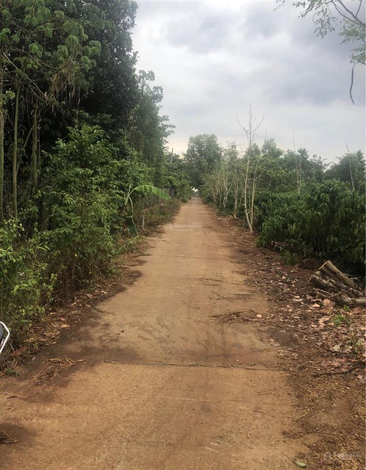 Bán lô đất bình giã! chính chủ hơn 2000m2