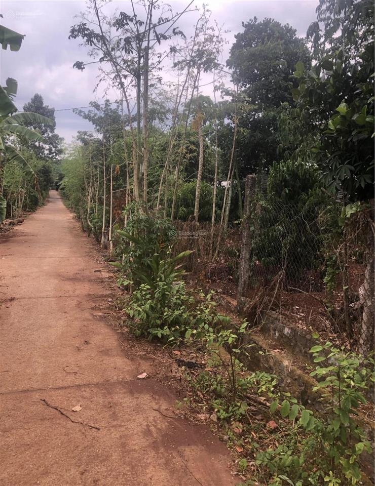 Bán lô đất bình giã! chính chủ hơn 2000m2