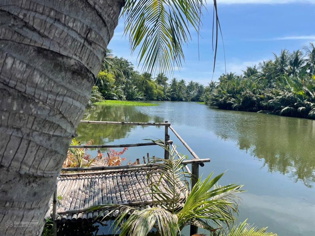 Bán đất view sông duy thành  gần trường chuẩn, chợ, htx. dt 200m2 ngang 6m  khu dân cư đông đúc