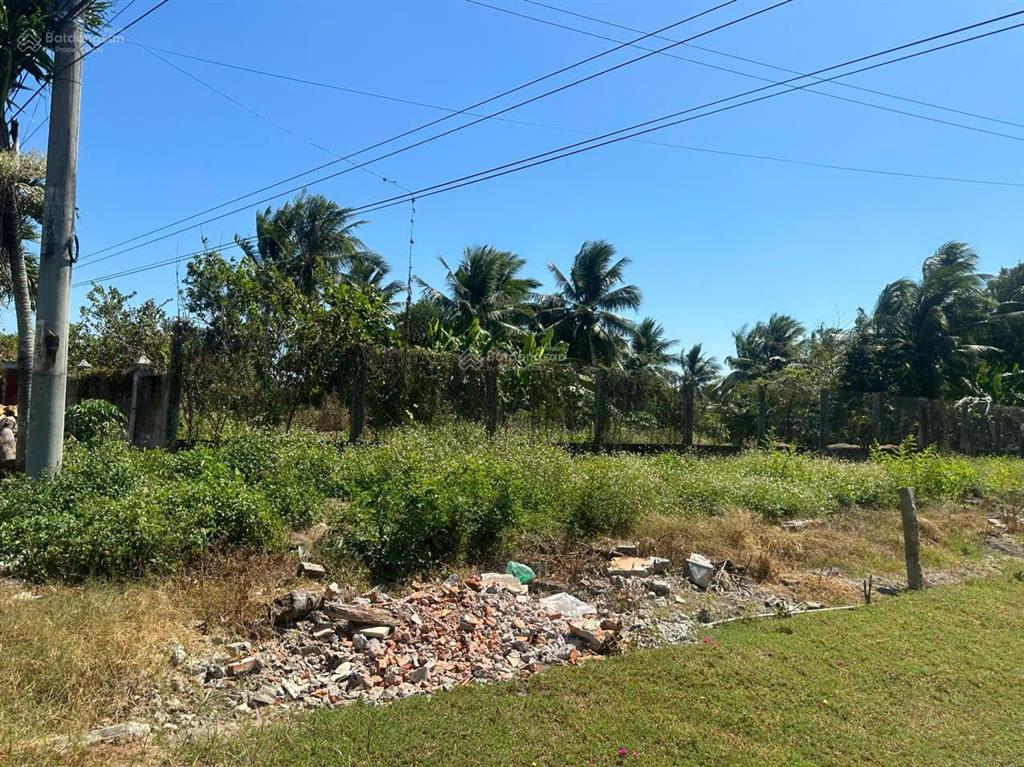 Bán đất mặt tiền ql53 trung hiếu, vĩnh long, ngay cầu an điền, 4000m2, ngang 50m, 14 tỷ 500