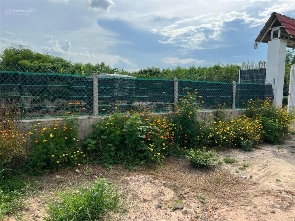 Bán đất 23m x 133 m, diện tích 3,044.60 m2 khu phố lộc vĩnh, xã an tịnh, trảng bàng, tỉnh tây ninh