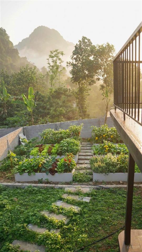 Chính chủ bán căn villa 487m2 sân vườn tại lương sơn  hoà bình  giá nhỉnh 3 tỷ