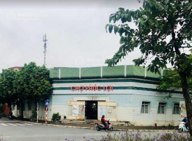 Bán nhà kiểu biệt thự, có sân vườn, vị trí sầm uất bậc nhất phúc lợi, long biên