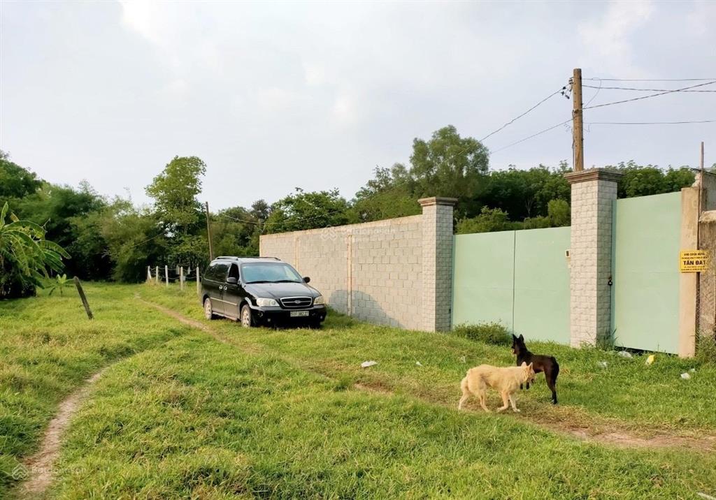 Bán 2000m2 đất củ chi có 550m2 thổ cư, quy hoạch thổ cư kết hợp sản xuất