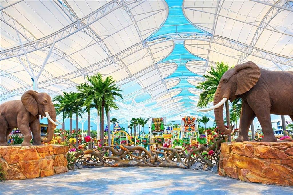 Vân bay đang là cái tên siêu hot của đặc khu vân đồn giá chỉ từ 1,6 tỷ