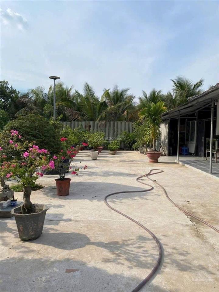 1 tỷ 150 bán gấp nhà vườn 15x33 = 500m2 ngay trung tâm củ chi, sổ hồng riêng