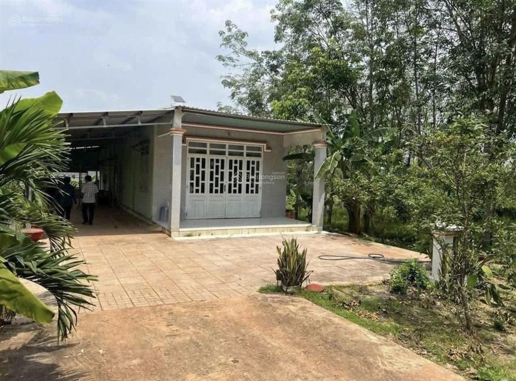 980tr bán nhà vườn đường tỉnh lộ 2, ngay khu dân cư tân phú trung (7,5x32) shr