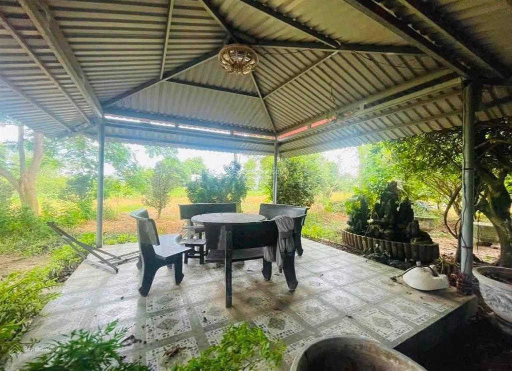 1 tỷ 1 bán nhà vườn gần chợ việt kiều, đường suối lội (8x26m) thổ cư sổ hồng riêng