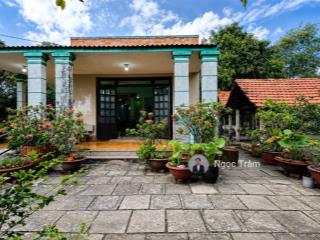 Bán nhà vườn 403m2(12x32) giá 1tỷ550 tại củ chi sổ hồng riêng
