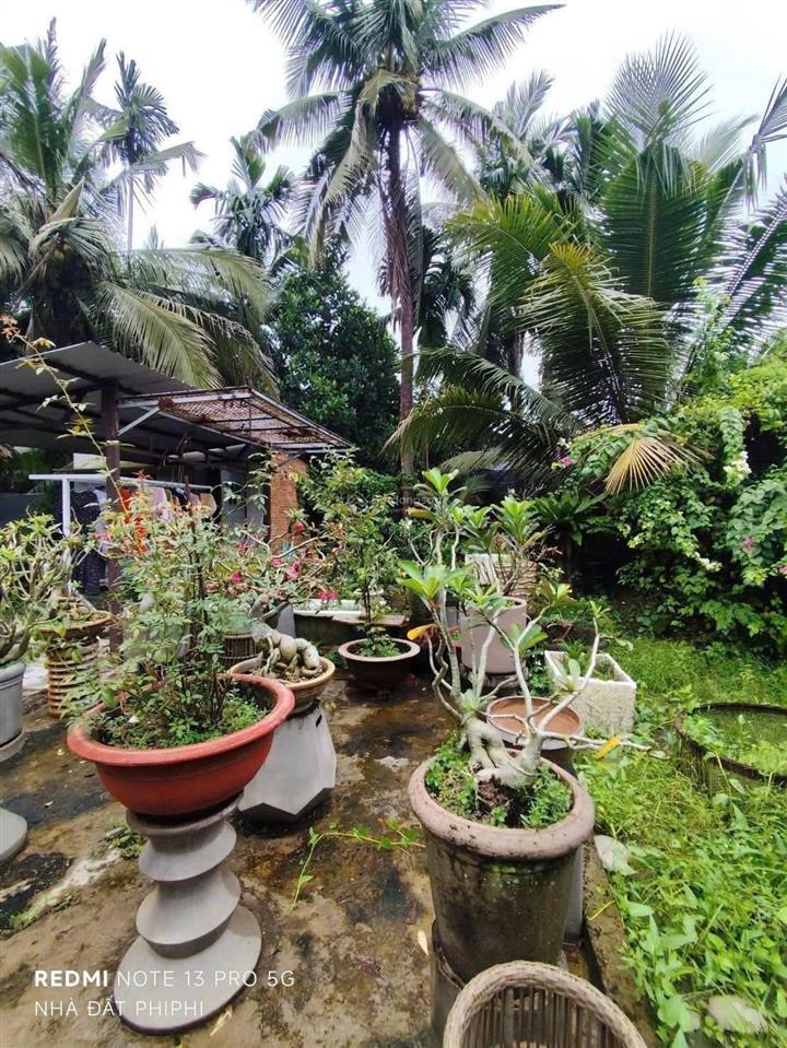 Nhà vườn khu phố bình thuận, bình nhâm, 561m2, 1 tỷ 350 triệu, đường ô tô, thích hợp nghỉ dưỡng