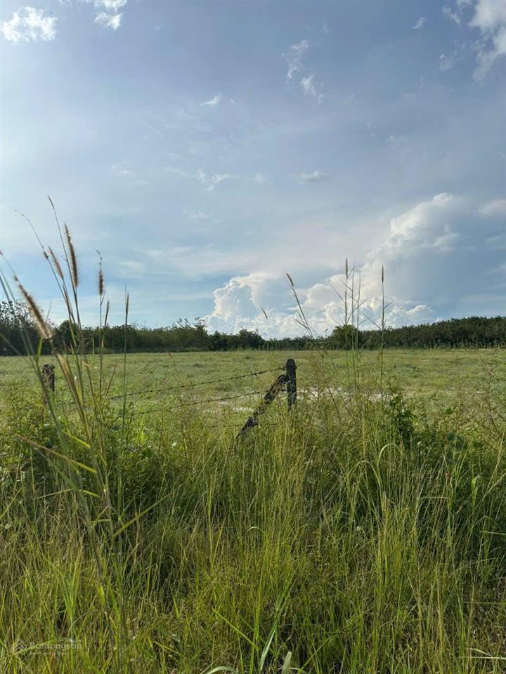 Bán nhà đất diện tích rộng, tiềm năng đầu tư