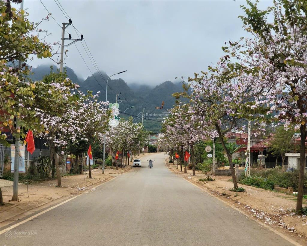 Đất mặt đường chính rừng thông bản áng 275m2, full thổ cư, mt 11,8m, làm homestay, đón cao tốc 2027