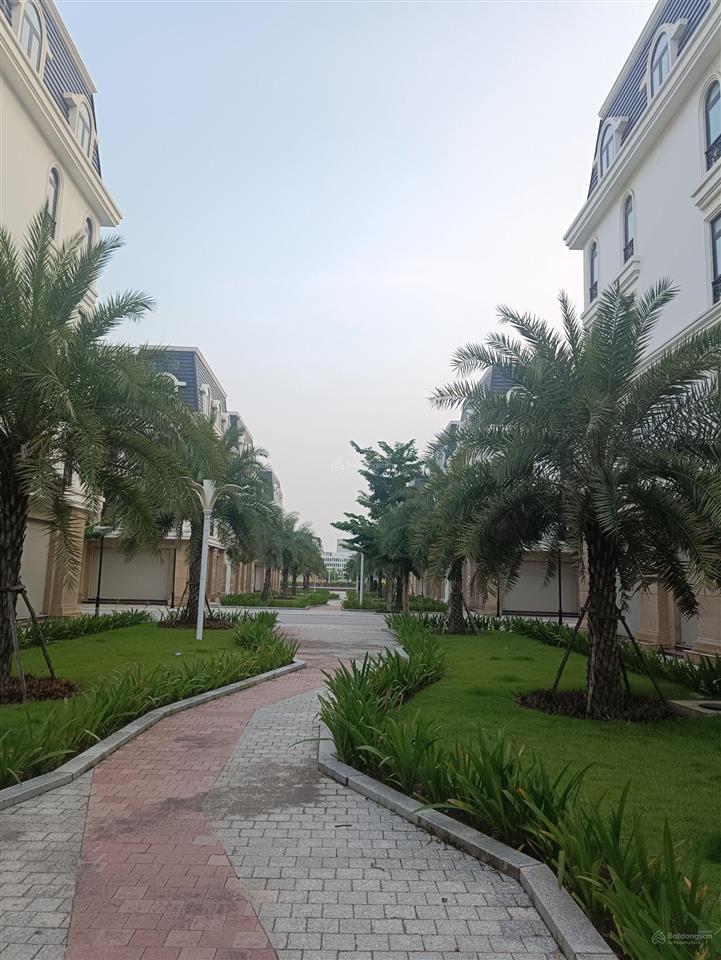 Cho thuê shophouse cạnh trung tâm hành chính thành phố, dân cư đông đúc, về kinh doanh được luôn