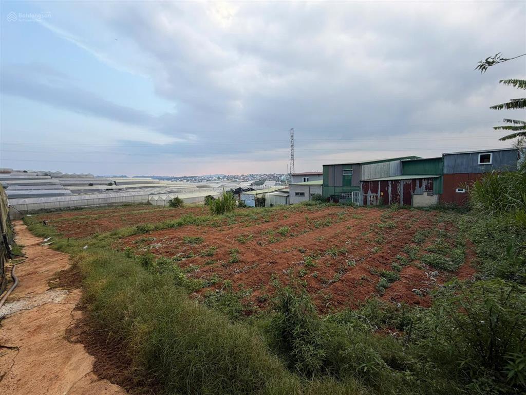 Chính chủ bán lô đất lớn siêu hiếm 2 mặt tiền đà lạt cách hồ xuân hương 4km, view thung lũng đèn.