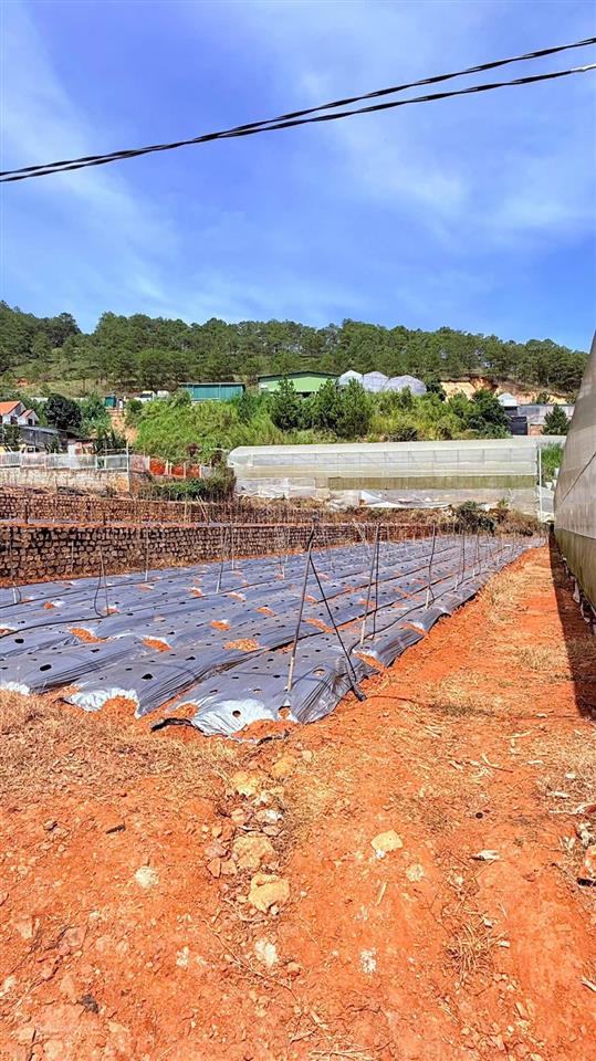 Chính chủ bán lô đất đẹp vuông vứt tại đà lạt cách hồ xuân hương 4km, view thung lũng đèn cực đẹp