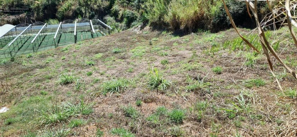 Đất nền bán tại lộc quý, 2,2 tỷ, 1011 m2, giá cực chất