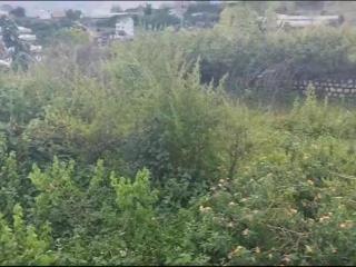 BÁN ĐẤT VIEW RỪNG THÔNG – MĂNG LIN, P. CAM LY, ĐÀ LẠT