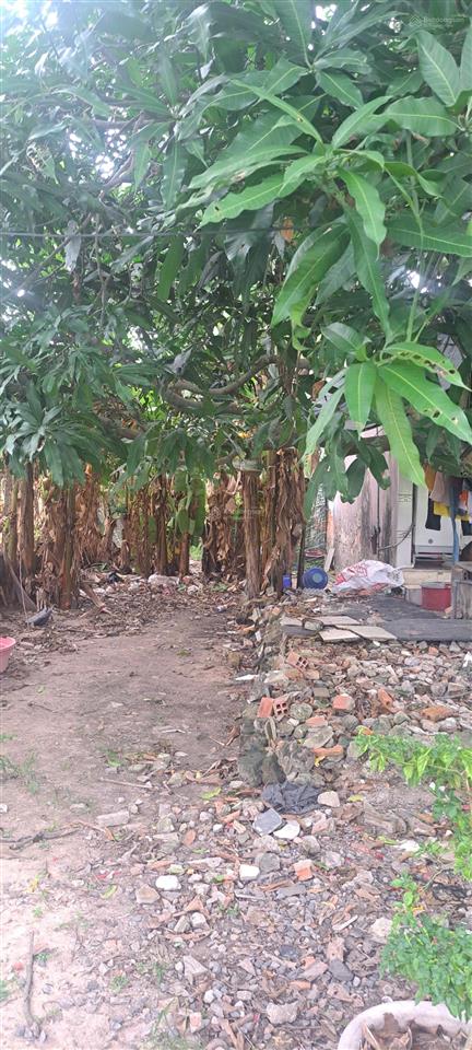 Chính chủ bán đất sổ đỏ riêng huyện hóc môn, tp.hcm