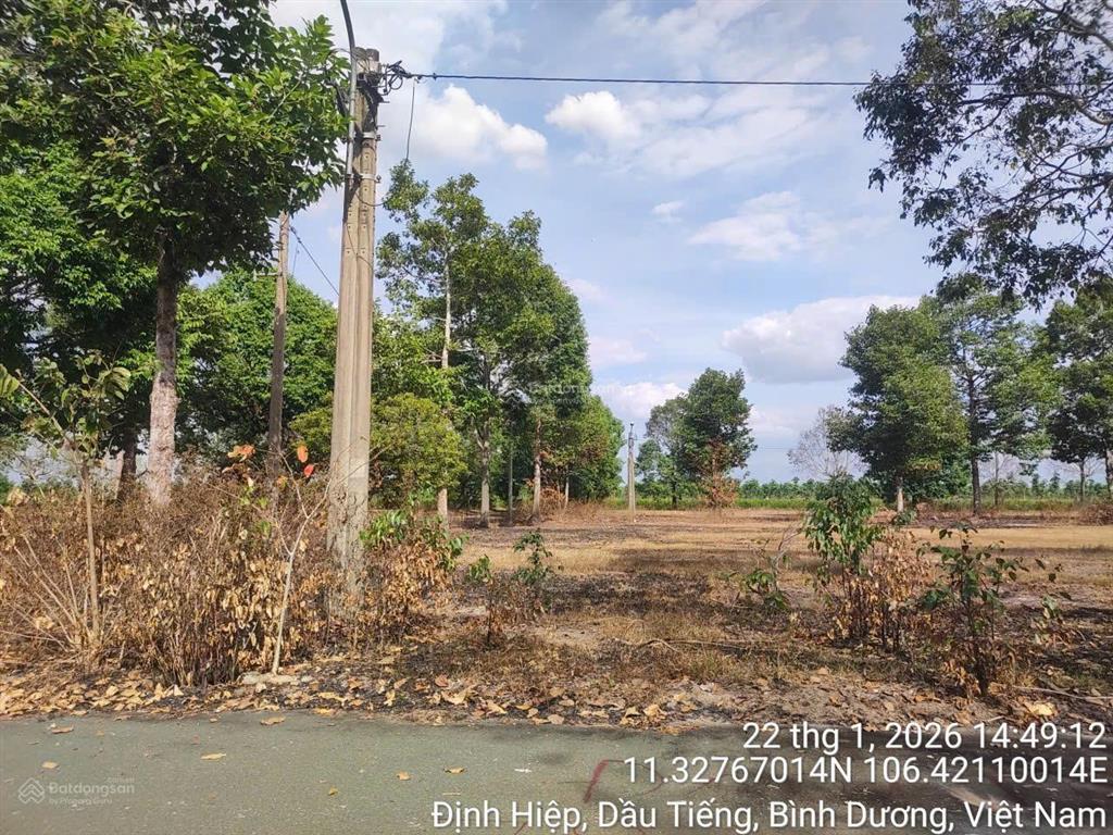 Bán đất tại định hiệp, dầu tiếng, bình dương 231 m2 thổ cư