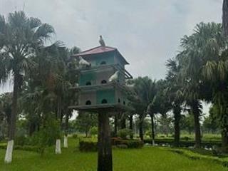 ► MIK PHỐ NỐI – “ECOPARK THỨ 2” PHÍA ĐÔNG HÀ NỘI