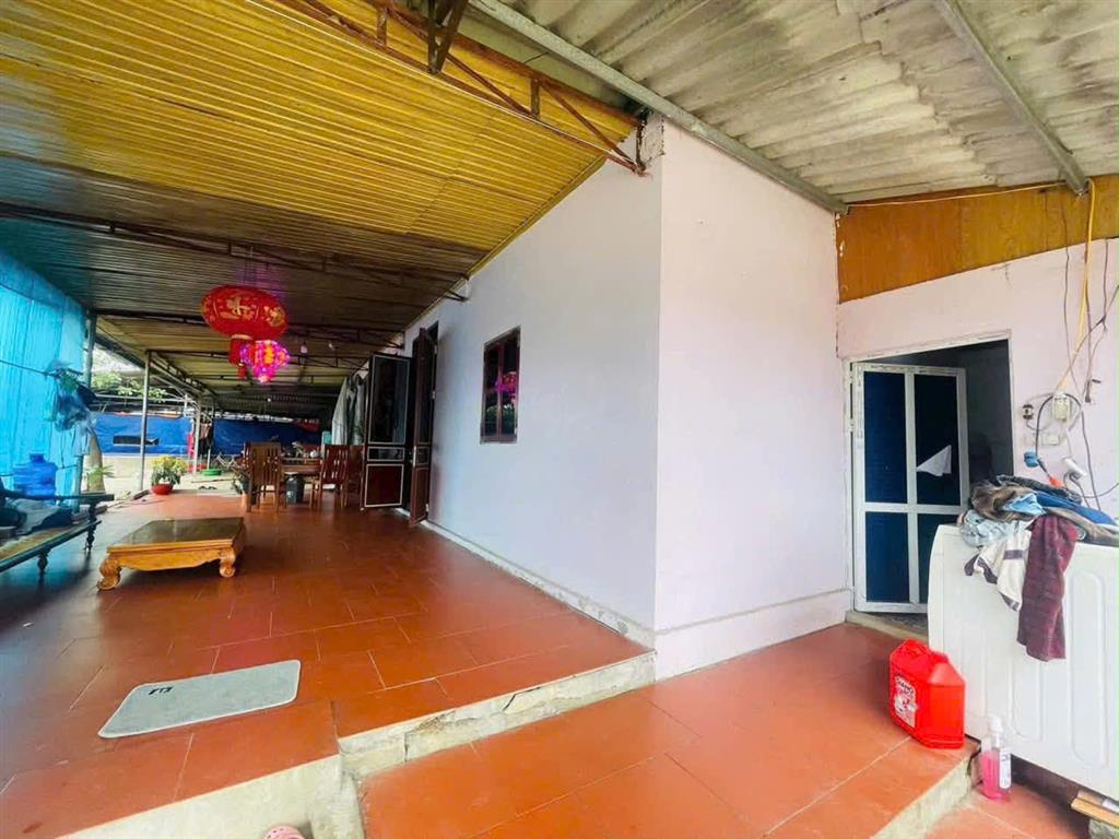 BÁN TRANG TRẠI CHĂN NUÔI QUY MÔ LỚN – PHÚ LƯƠNG, THÁI NGUYÊN