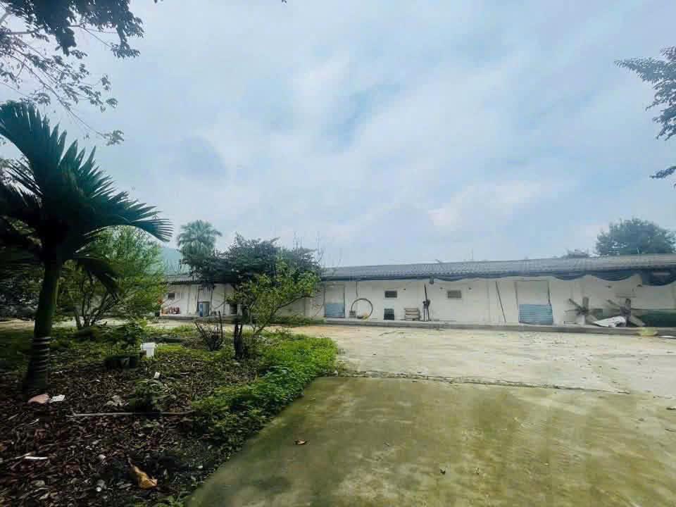 BÁN TRANG TRẠI CHĂN NUÔI QUY MÔ LỚN – PHÚ LƯƠNG, THÁI NGUYÊN