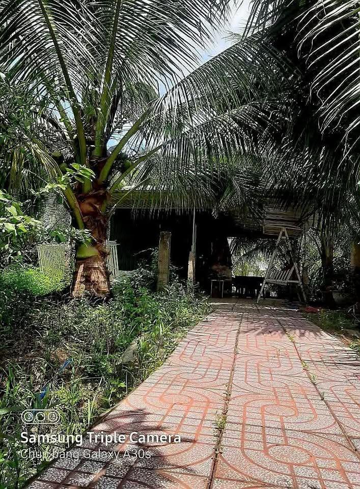 Chính chủ: BÁN ĐẤT SÂN VƯỜN