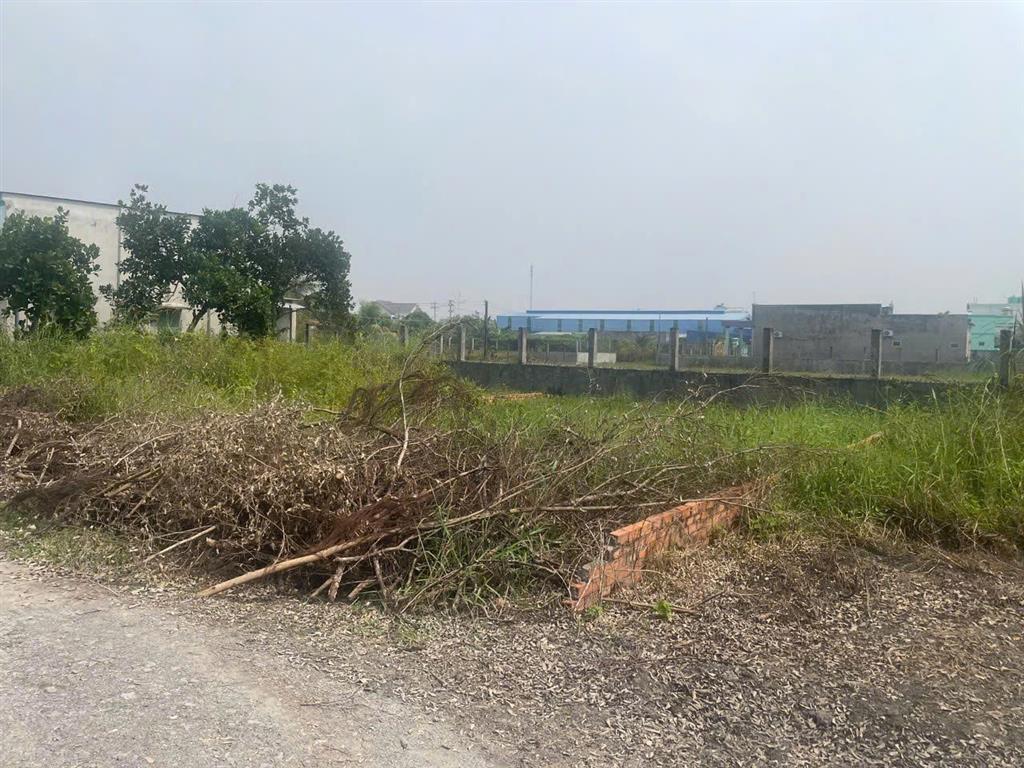 CHÍNH CHỦ BÁN ĐẤT THỔ CƯ 173M² – GIÁ CHỈ 1,68 TỶ – KHU DÂN CƯ HIỆN HỮU TẠI TÂY NINH!