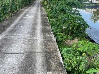 CẦN BÁN ĐẤT NUÔI TRỒNG THỦY SẢN – ẤP ĐỒNG TÂM, XÃ CÁI NƯỚC
