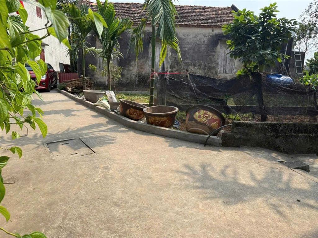 ►  BÁN ĐẤT ĐẸP ĐAN KIM – LIÊN NGHĨA, VĂN GIANG, HƯNG YÊN