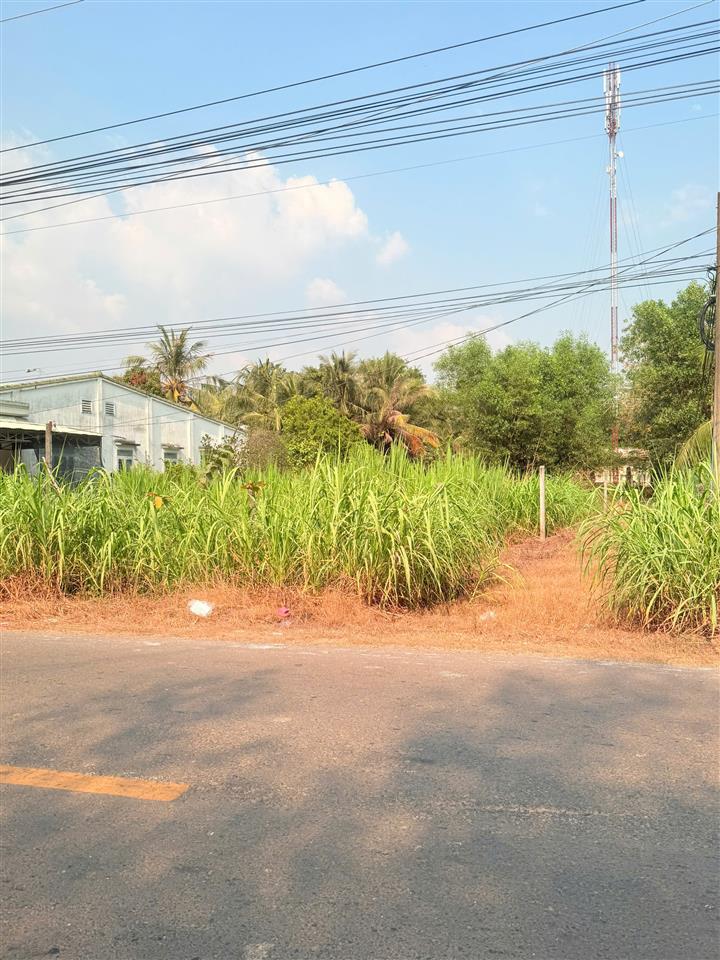 Cần bán đất Tỉnh Lộ 796 Xã Ninh Điền ,huyện Châu Thành ,Tỉnh Tây Ninh.