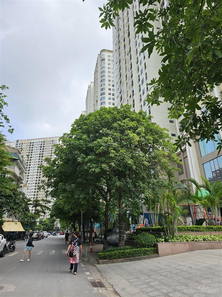 Chung cư gelexia 885 tam trinh
căn 2 ngủ giá 4.4 tỉ