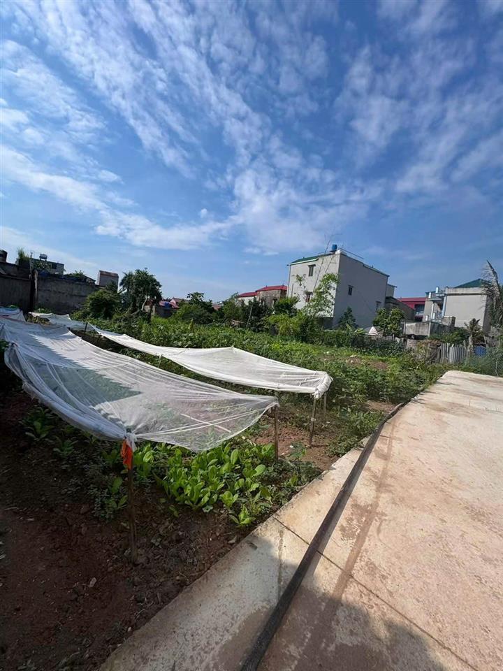LÔ ĐẤT 120M² PHÚ LÂM – TIÊN DU  SÁT KHU VỰC SUN GROUP