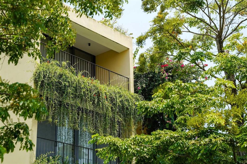 Săn biệt thự casamia balanca hội an hàng trực tiếp cđt đạt phương hưởng chính sách cao giá tốt