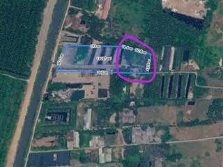 CHỦ NGỘP CẦN BÁN GẤP 1.000m² ĐẤT VĨNH LỘC A – GIÁ CHỈ 900 TRIỆU