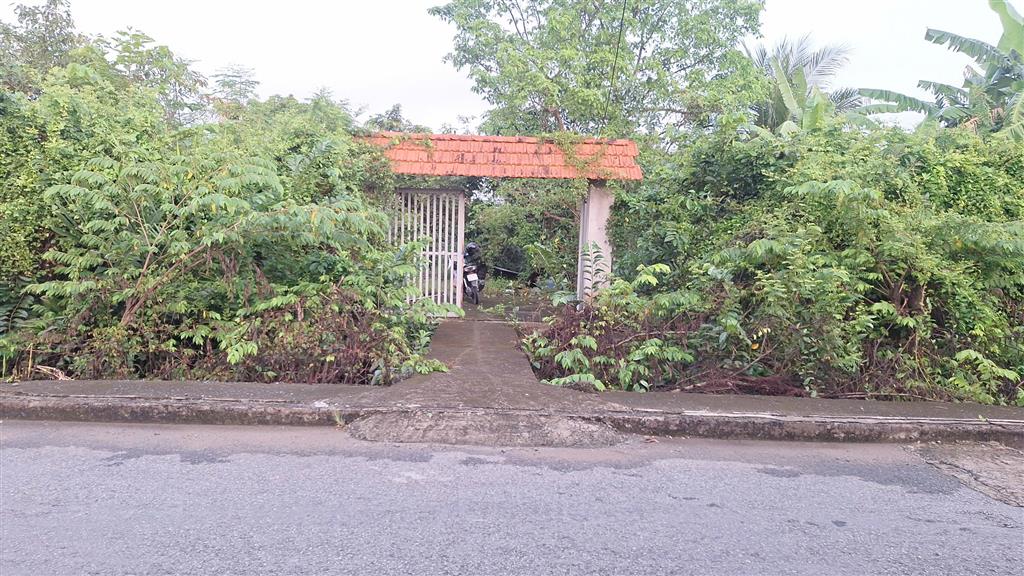 CHÍNH CHỦ CẦN BÁN 1.000M² ĐẤT TẠI AN PHÚ TÂY, BÌNH CHÁNH – GIÁ 5,5 TỶ