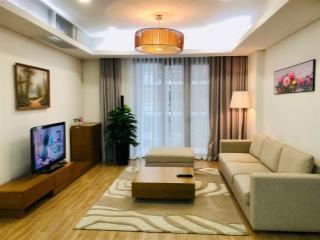 Chính chủ cần bán căn hộ cao cấp tại Dolphin Plaza, số 28 Trần Bình, phường Mỹ Đình 2,