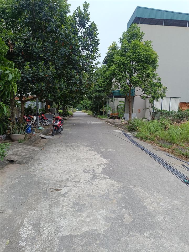Chính chủ cần bán lô đất, 50m², khu đất dịch vụ đồng mai 2, giá 6,9 tỷ