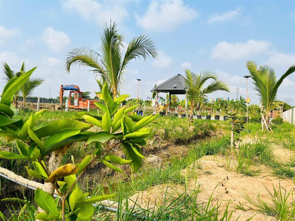 Chủ hạ gấp còn 5,5 tỷ để bán nhanh 1350m2, lên thổ được 200m2 đất xã bình chánh