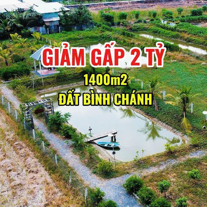 Chủ hạ gấp còn 5,5 tỷ để bán nhanh 1350m2, lên thổ được 200m2 đất xã bình chánh