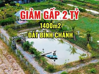Chủ hạ gấp còn 5,5 tỷ để bán nhanh 1350m2, lên thổ được 200m2 đất xã bình chánh