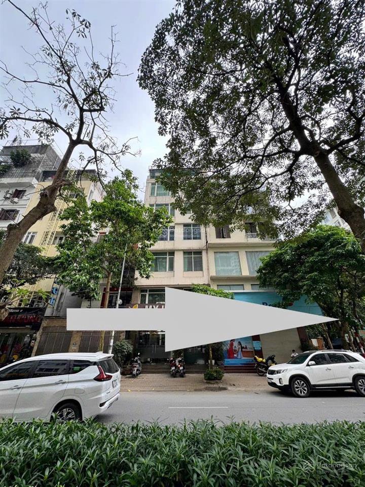 Chính chủ bán nhà phố nguyễn thị thập  cầu giấy  diện tích 98m  mặt tiền 7m, 5 tầng, giá 48 tỷ