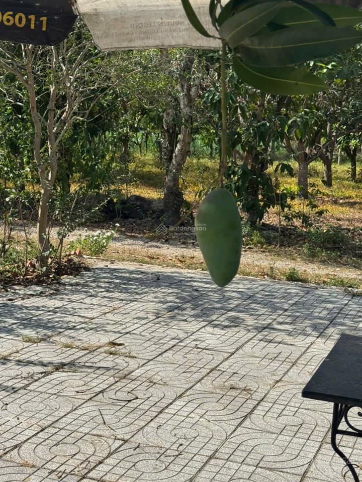 Cần tiền bán lô đất mt dt 5*30 , vị trí đẹp, gần hắc dịch