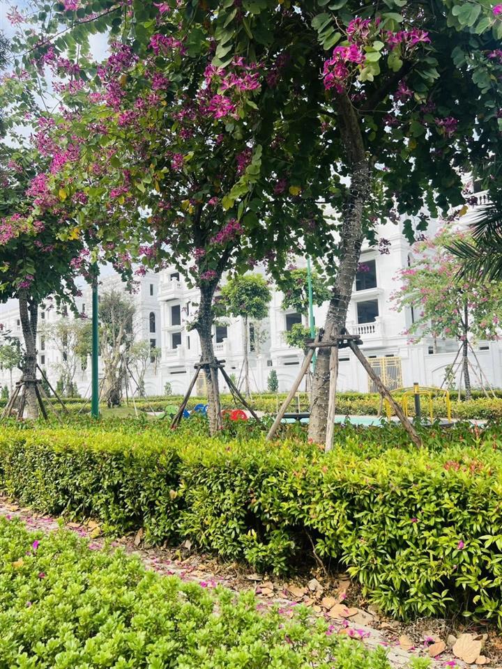 Biệt thự có hầm riêng, sở hữu riêng công viên xanh mát. mức giá đẹp chính sách tốt, sổ cầm tay