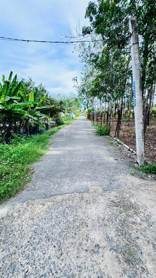 Đất thổ cư gần kcn hiệp thạnh. 5x26 sổ sẵn chỉ 399tr