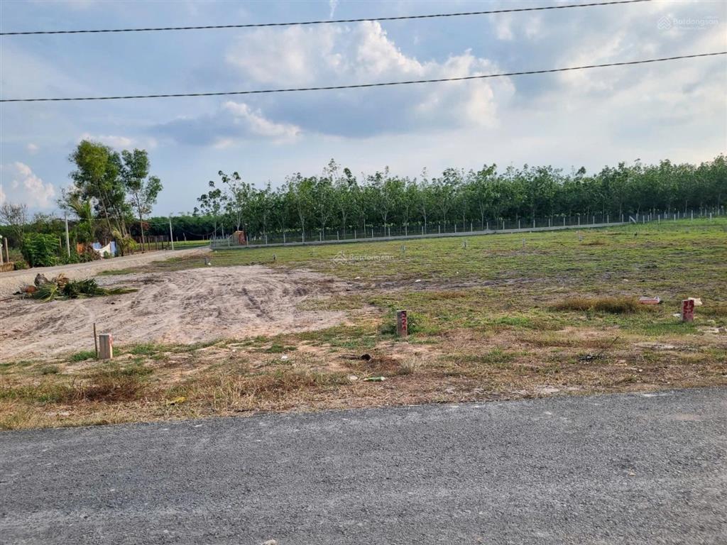 5x45m. đất thổ cư đường bê tông. sổ hồng riêng. chỉ 3xx tr