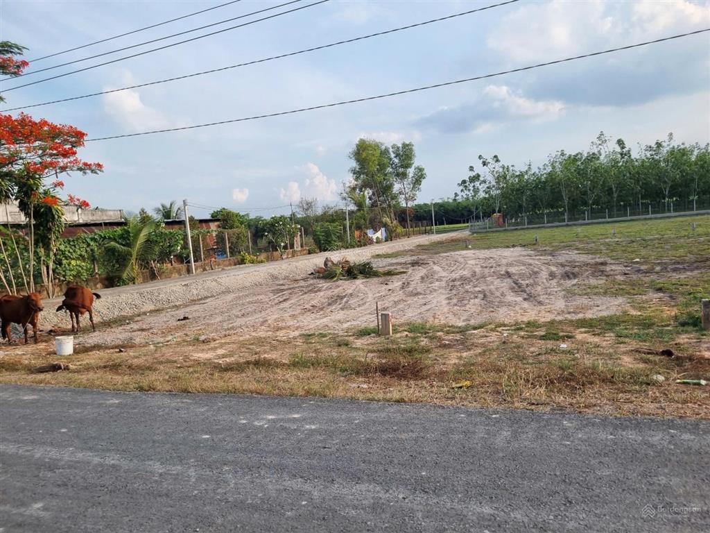 5x45m. đất thổ cư đường bê tông. sổ hồng riêng. chỉ 3xx tr